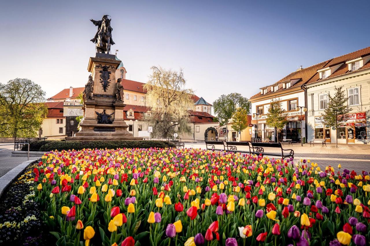 Hotel Bellevue Tlapak Poděbrady Buitenkant foto